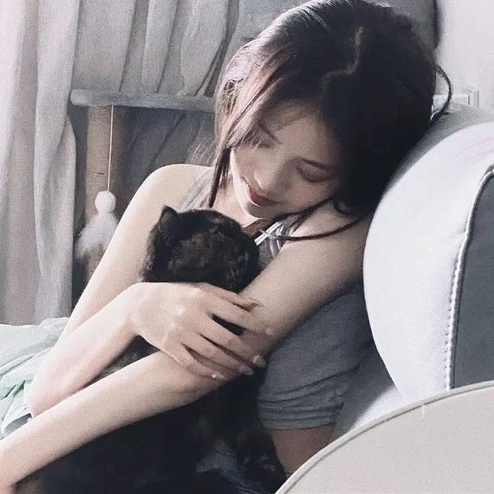 丹特丽安的书架